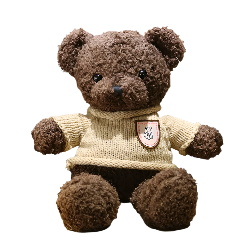 Jumper Teddy Bear – Plush Bear with Sweater