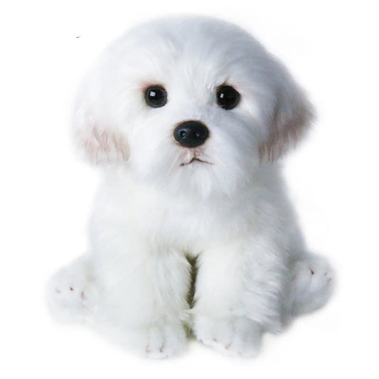 Miss Bloom™ Maltese Plush Dog – Realistic Stuffed Puppy Toy Gift

